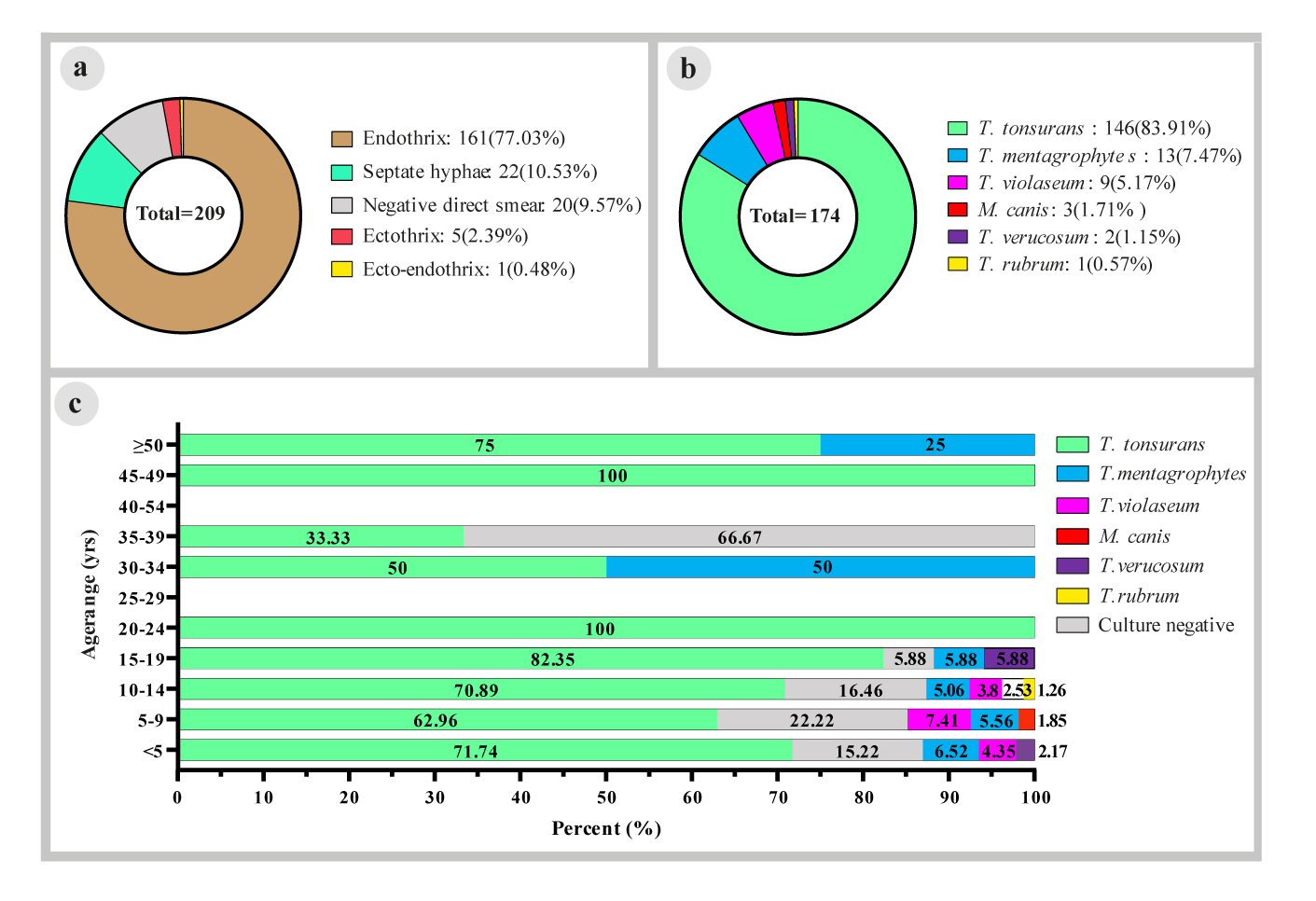 Tinea capitis in infants in their first 2 years of life: A 12-year study  and a review of the literature